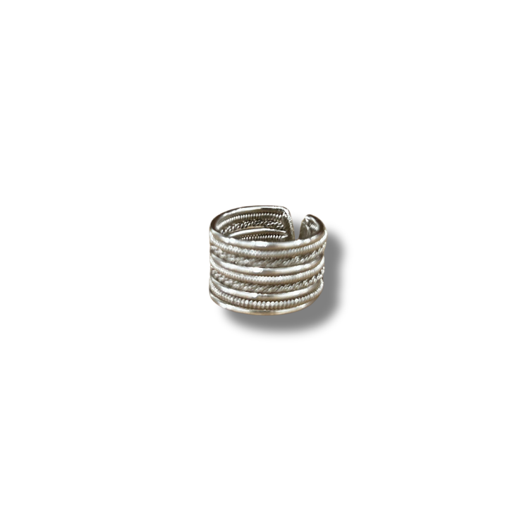 ANELLO FASCIA MOLLA TORCHON